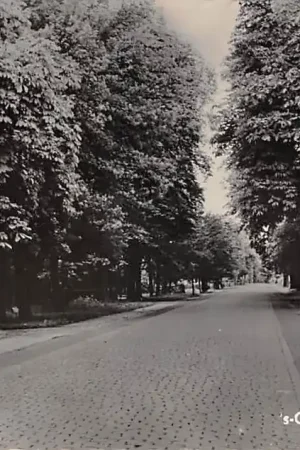 Kup teraz 's Gravenmoer Hoofdstraat 1957 Noord-Brabant HC54340