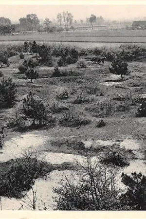 Szybka dostawa Landschap bij Vorstenbosch Meierij van 's-Hertogenbosch Noord-Brabant HC52737