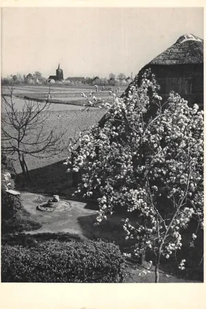Oryginalny Veen Gezicht vanaf de dijk Noord-Brabant HC51338