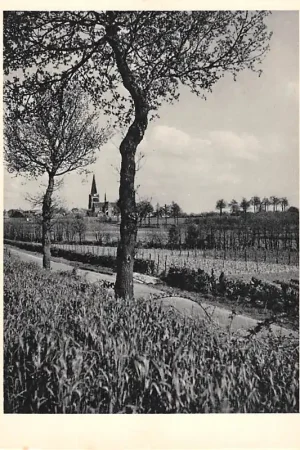 Zamów teraz Landschap bij Woensdrecht Noord-Brabant HC52725