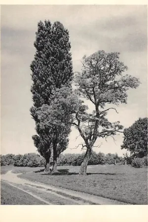 Zamów teraz Landschap bij Vught Noord-Brabant HC52724