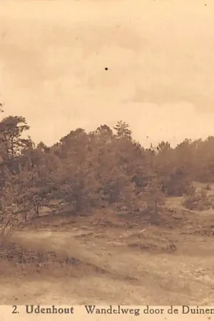 Najlepsza cena Udenhout 2 Wandelweg door de Duinen Tilburg Noord-Brabant HC52597