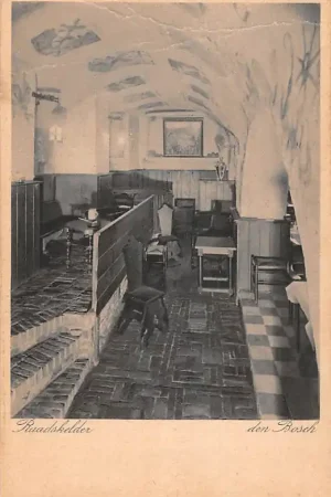 's-Hertogenbosch Raadskelder Raadhuis HC51608 Oryginalny