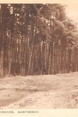 Ostatnia szansa Breda - Ginneken Omstreken Mastbosch 1932 HC50119