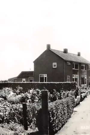 Babyloniënbroek Broeksestraat 1965 Altena Noord-Brabant HC49851 Wyprzedaż