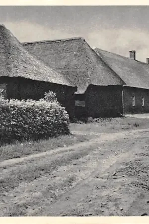 Haaren Buurtschap onder Haaren Oisterwijk Noord-Brabant HC51315 Rabat