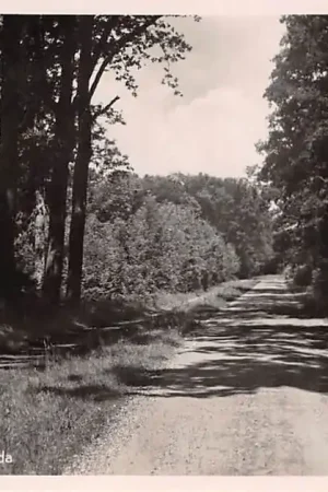 Szybka dostawa Breda Liesbos Hoofdlaan 1953 HC48265