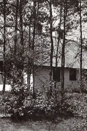 Herpen Gem. Ravenstein Vakantieverblijf Herperduin 1973 Noord-Brabant HC48092 Kup teraz