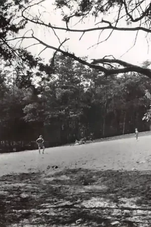 Son en Breugel Sonse Bergen 1963 Noord-Brabant HC47127 Tylko dziś