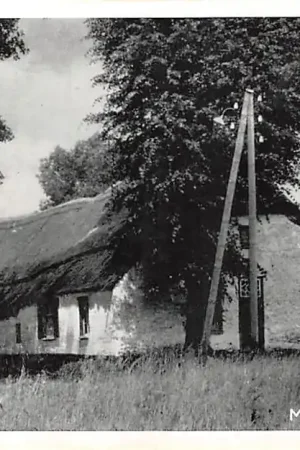 Tani Mierlo Kasteel-boerderij Geldrop HC47093