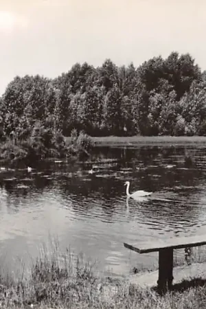 Beek en Donk Visvijver Laarbeek Peel Noord-Brabant HC46600 Zamów teraz