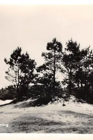 Autentyczny Sint Anthonis Zandverstuiving Land van Cuijk Noord-Brabant HC46543