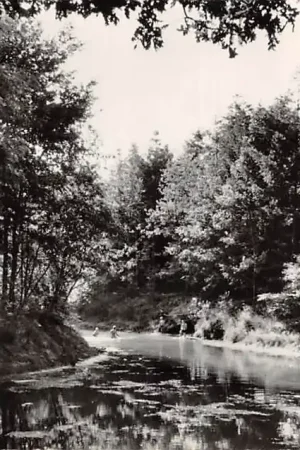 Szybka dostawa Sint Anthonis Vijver Land van Cuijk Noord-Brabant HC46528