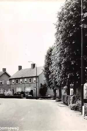 Wysoka jakość Zeeland (NB) Langenboomseweg Maashorst Noord-Brabant HC46372