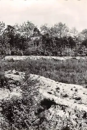 Zeeland (NB) Reekse Bossen Maashorst Noord-Brabant HC46371 Zamów teraz