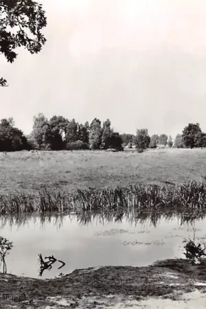 Son en Breugel Son Dode tak van de rivier De Dommel Meierij 's-Hertogenbosch HC46342 Tani