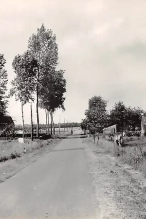 Son en Breugel Houtens Meierij 's-Hertogenbosch HC46335 Zamów teraz