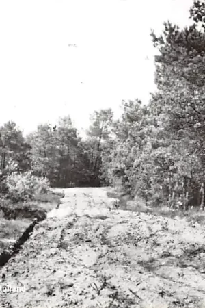 Oryginalny Middelbeers Omgeving wit Holland Oirschot Noord-Brabant HC46263