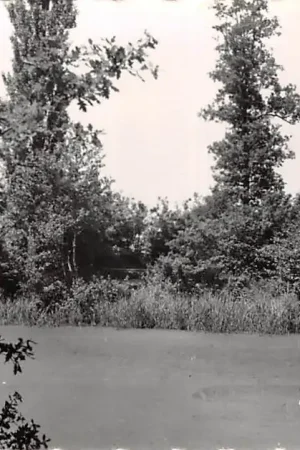 's Gravenmoer de Wiel Dongen Noord-Brabant HC46240 Wyprzedaż