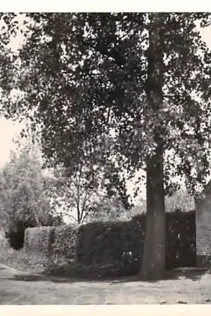 Promocja Son en Breugel Mariakapel Noord-Brabant HC46224