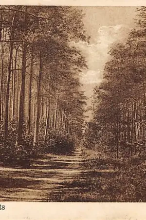 Premium Breda Ginneken In de tweede Papenmuts 1929 HC45971