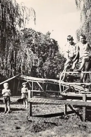 Budel Speeltuin 1960 HC46016 Bezpieczna płatność