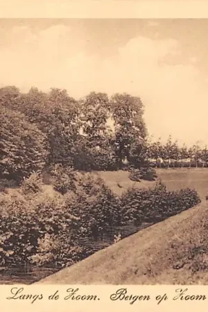 Popularny Bergen op Zoom Langs de Zoom HC45606