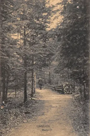 Breda Ginneken Mastbosch 1912 HC44267 Wysoka jakość