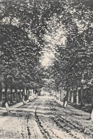 Wyprzedaż Ulvenhout Huisdreef 1912 Breda Alphen (NB) Chaam HC43619