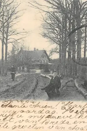 Promocja Ginneken bij Breda Boschwachter 1900 HC43542