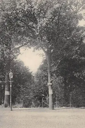 Helmond Warandelaan 1934 HC43336 Wyprzedaż