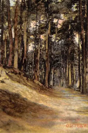 Bezpieczna płatność Oisterwijk Groete uit 1914 HC39265