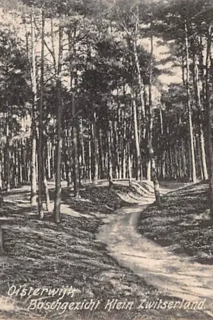 Szybka dostawa Oisterwijk Boschgezicht Klein Zwitserland' 1916 HC39175