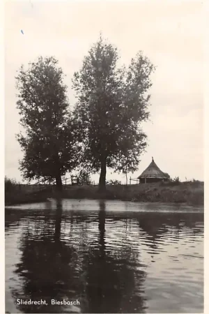 Sliedrecht Biesbosch 1955 HC37101 Tani