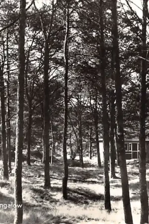Najlepsza cena Vlierden Vakantie-oord De Bikkels Kijkje vanuit een bungalow 1961 Deurne HC34569