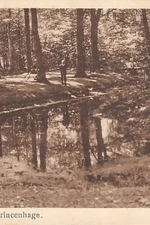 Wyprzedaż Princenhage Vijver Liesbosch Breda 1931 HC36020