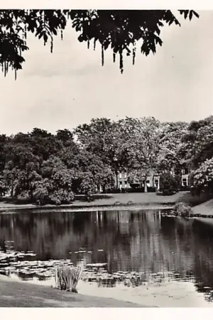 Autentyczny Breda Wilhelminapark 1955 HC35846