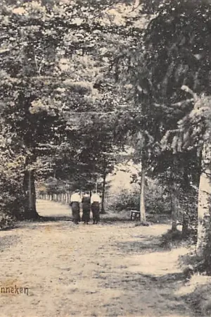 Wysoka jakość Ginneken Mastbosch Breda HC26552