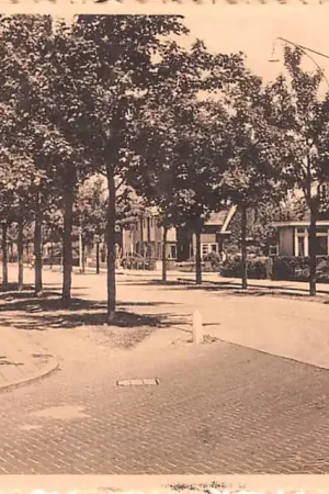 Promocja Oss Burg. v.d. Elzenlaan 1959 HC26042