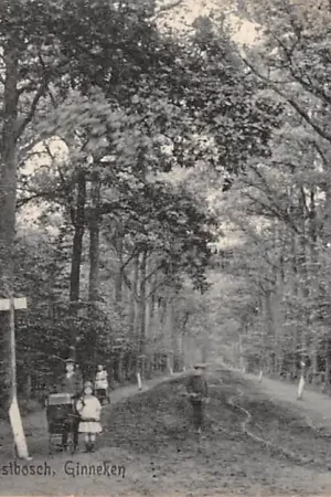 Ginneken Laan in 't Mastbosch 1918 Breda HC25069 Darmowa dostawa