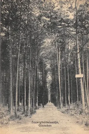 Ginneken Eeuwigheidslaantje Breda 1920 HC25046 Bezpieczna płatność