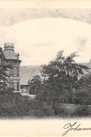 Steenbergen 1900 Brabant HC24175 Wyprzedaż