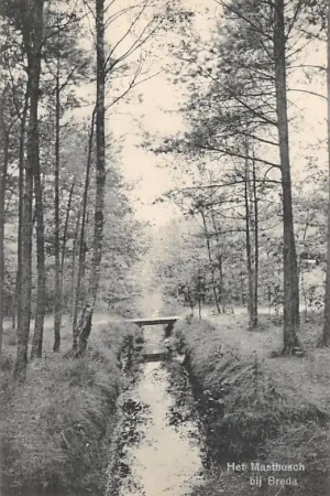 Oryginalny Breda Het Mastbosch 1916 HC22935