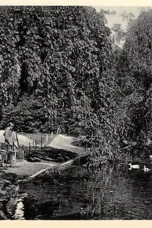 Zamów teraz Breda Valkenberg 1933 HC20348