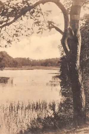 Zamów teraz Oisterwijk v. Esscheven HC17206