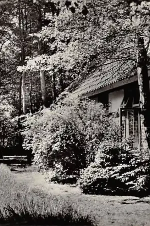 Najlepsza cena Oisterwijk Vakantieoord Morgenroodvan de Natuurvrienden Oisterwijk Grote galerij 1961 HC16514