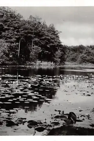 Popularny Oisterwijk Wolfsputven HC16512