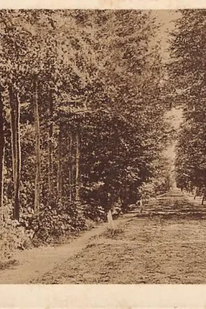 Wyprzedaż Ginneken bij Breda Langedreef 1929 HC15711