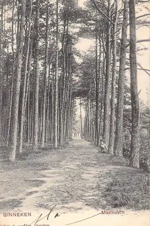 Darmowa dostawa Ginneken bij Breda Mastbosch 1905 HC15678