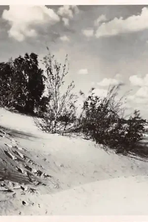 Waalwijk Roestelberg 1946 HC9289 Popularny